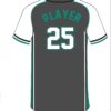 Gladiators Baseball Sublimated Jersey (Charcoal/White) - Image 2