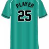 Gladiators Baseball Sublimated Jersey (Teal Pinstripe) - Image 2